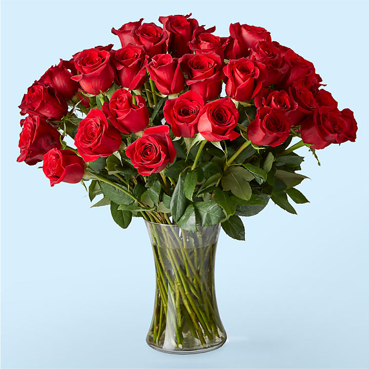 product image for Fifty Long Stem Red Roses with Vase