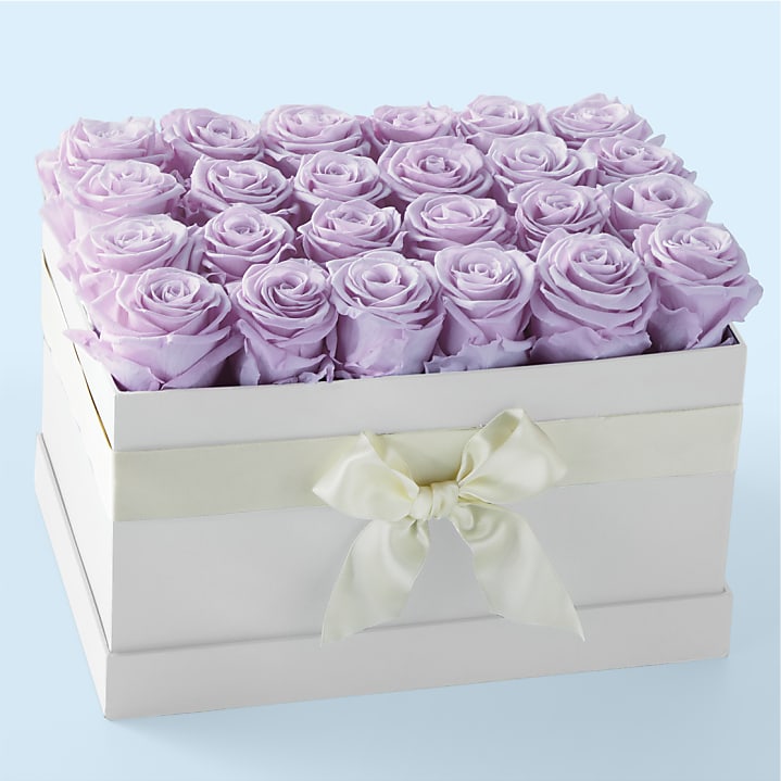 product image for Lavender Forever Rose